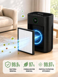 HIFRESH IN19 - H13 True HEPA Air Purifier for Home, Black