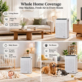 HIFRESH IN34 air purifier for living rooms, bedrooms and pet rooms